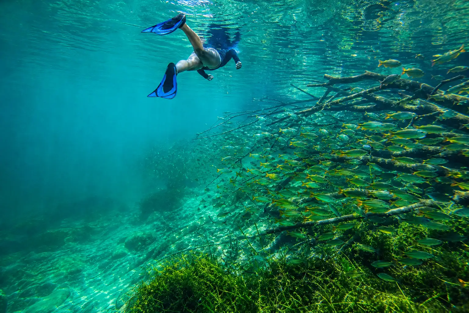 Flutuador visto de baixo em rio transparente, com cardumes de peixes ao redor